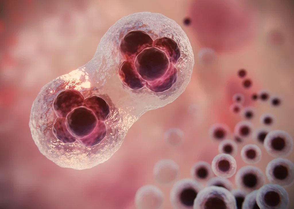 فیبروم / از تپش قلب تا خستگی مزمن؛ 10 بیماری جدی که با علائم جسمی اضطراب اشتباه گرفته می‌شوند