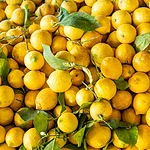 خواص آب و لیمو برای پوست، لاغری و ایمنی؛ راهنمای جامع 2025